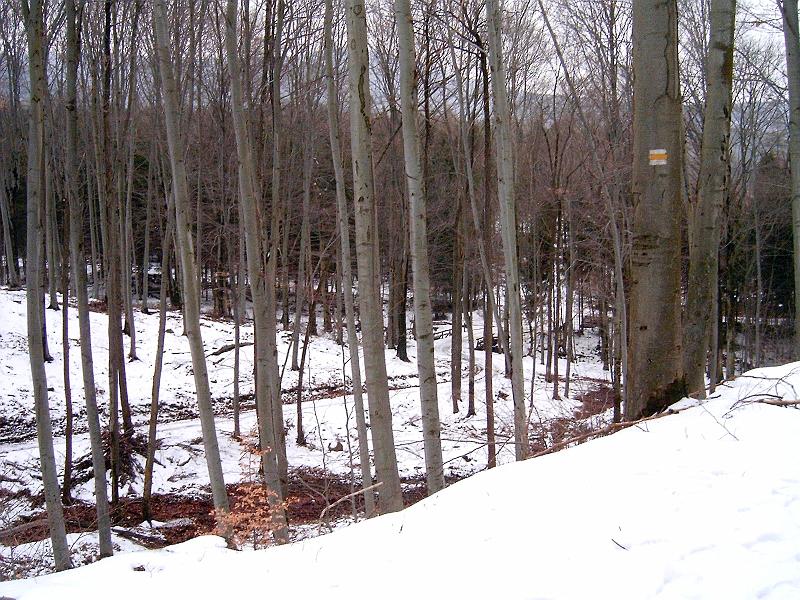 20110219 031.jpg